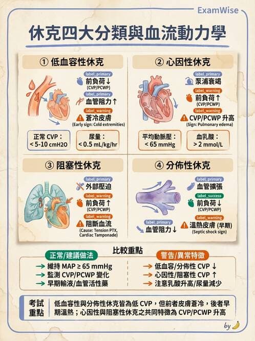 專師 - 急救藥物與特殊休克 - AI 圖文解析預覽