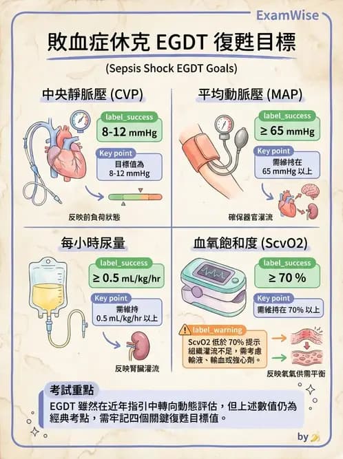 專師 - 敗血症治療與復甦指引 - AI 圖文解析預覽