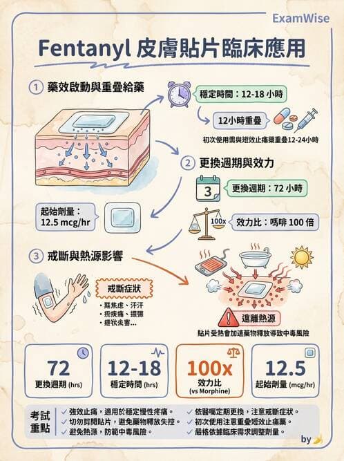 專師 - 疼痛控制與止痛藥物 - AI 圖文解析預覽