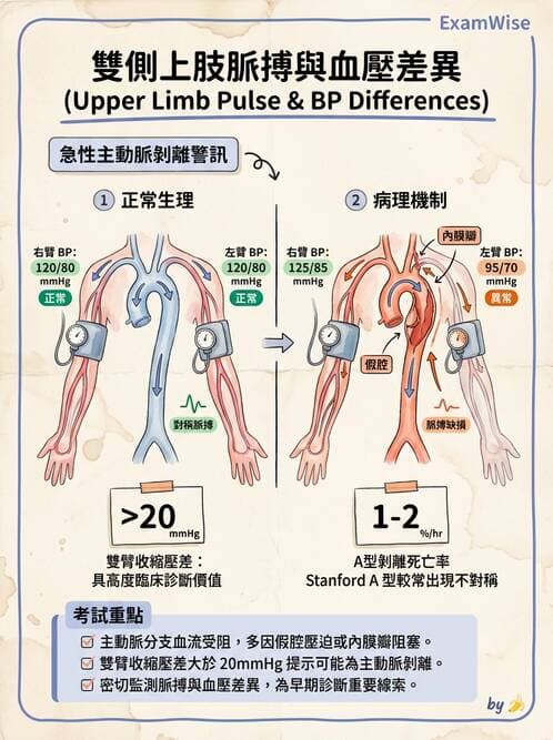專師 - 高血壓與藥物治療 - AI 圖文解析預覽