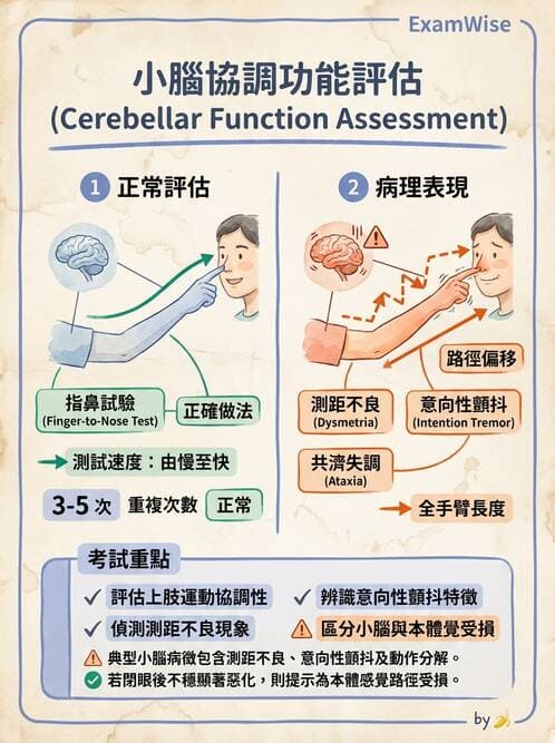 專師 - 腦神經檢查與神經學評估 - AI 圖文解析預覽