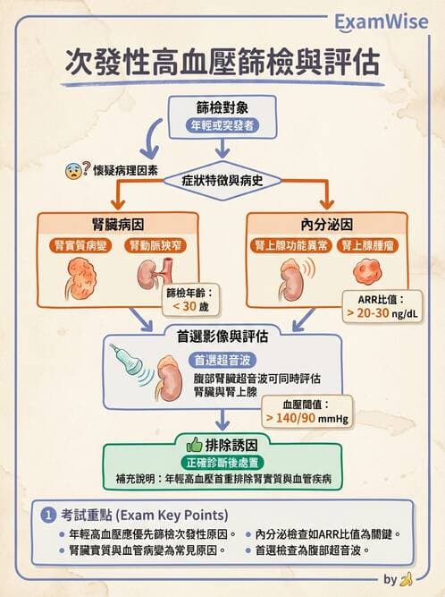 專師 - 高血壓與藥物治療 - AI 圖文解析預覽