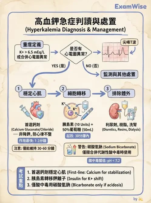 專師 - 鉀離子異常 - AI 圖文解析預覽