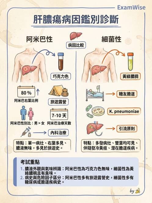 專師 - 肝腫瘤與肝臟手術 - AI 圖文解析預覽