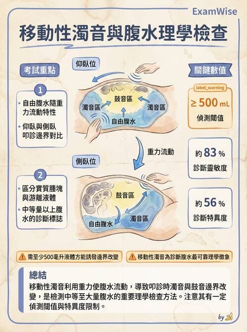 專師 - 肝硬化與併發症 - AI 圖文解析預覽