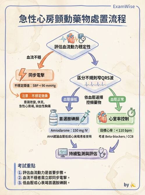 專師 - 心律不整與ECG判讀 - AI 圖文解析預覽