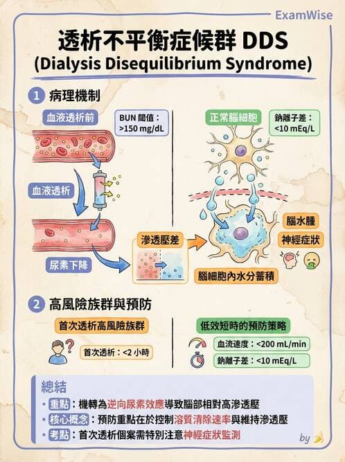 專師 - 透析治療 - AI 圖文解析預覽