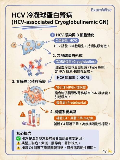 專師 - 糖尿病腎病變與腎絲球疾病 - AI 圖文解析預覽