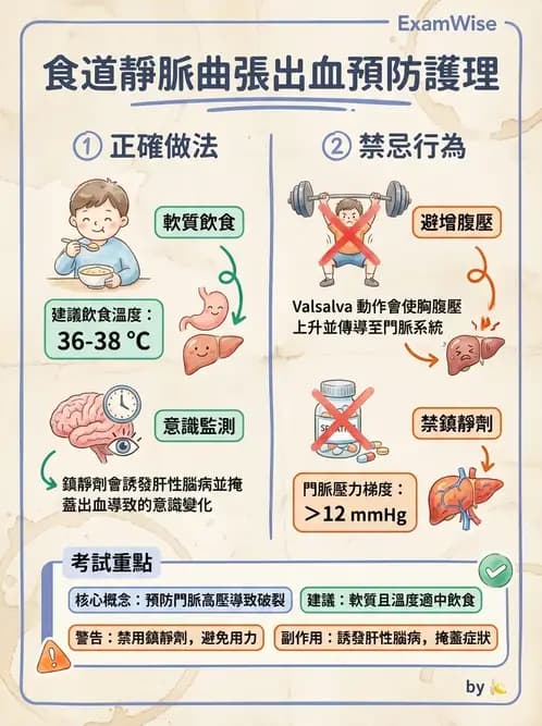 護理師 - 上消化道疾病 - AI 圖文解析預覽
