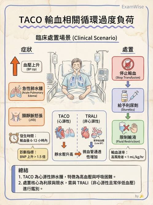 護理師 - 貧血與凝血疾病 - AI 圖文解析預覽