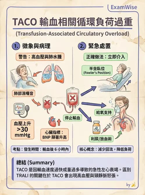 護理師 - 貧血與凝血疾病 - AI 圖文解析預覽