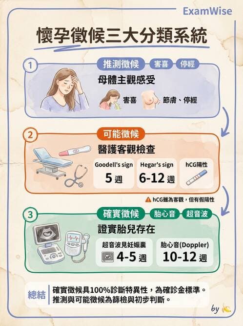 護理師 - 孕期營養心理與衛生政策 - AI 圖文解析預覽