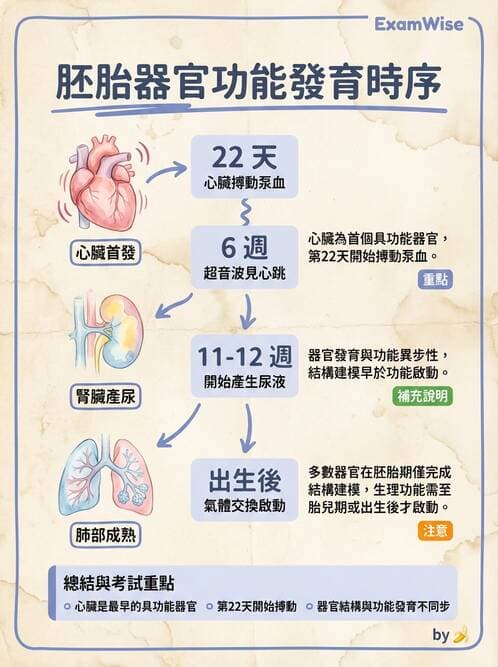 護理師 - 胎兒發育與監測評估 - AI 圖文解析預覽