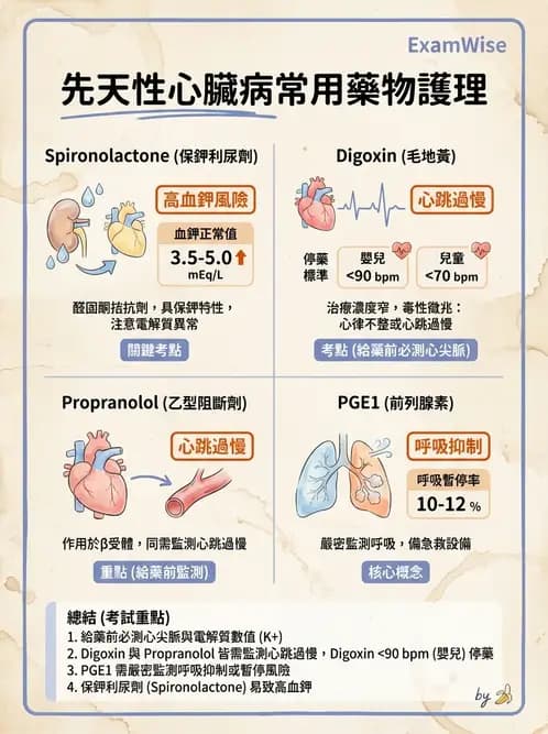 護理師 - 兒童循環系統疾病 - AI 圖文解析預覽