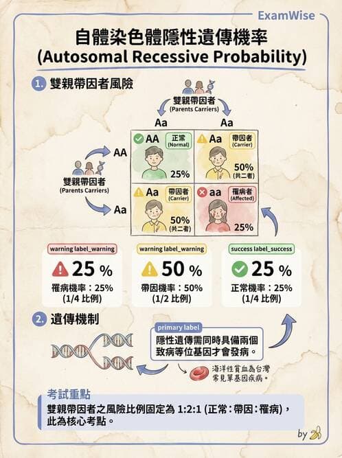 護理師 - 兒童血液與腫瘤疾病 - AI 圖文解析預覽