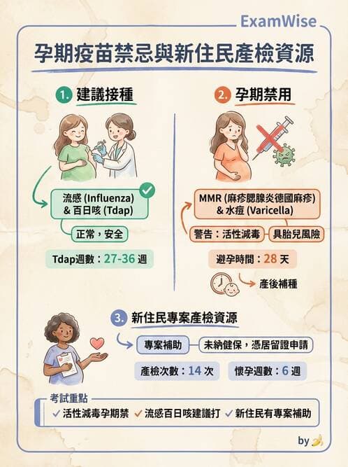 護理師 - 婦幼與青少年健康 - AI 圖文解析預覽