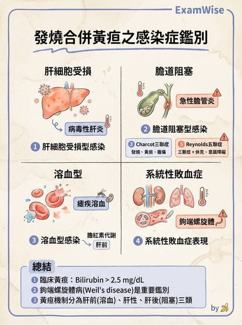 專師 - 敗血症與發燒通論 - AI 圖文解析預覽