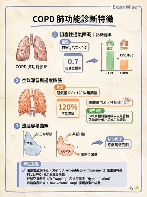 專師 - 阻塞性肺病 - AI 圖文解析預覽