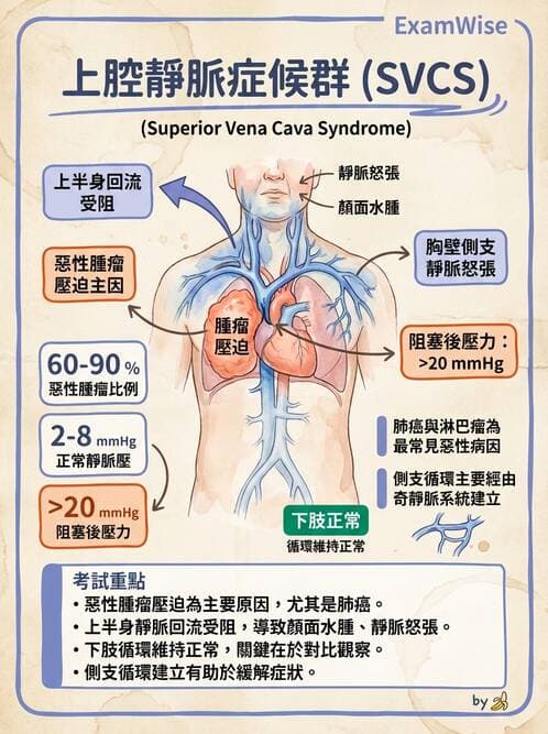 專師 - 腫瘤急症 - AI 圖文解析預覽