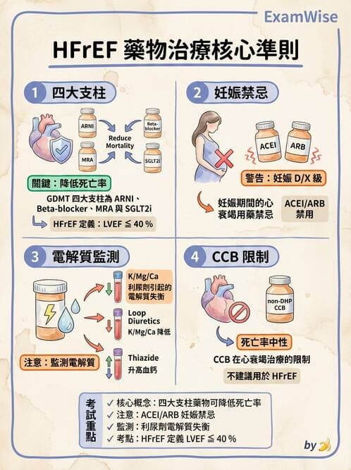 專師 - 心衰竭 - AI 圖文解析預覽
