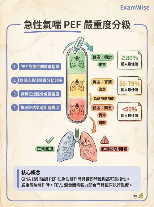 專師 - 阻塞性肺病 - AI 圖文解析預覽
