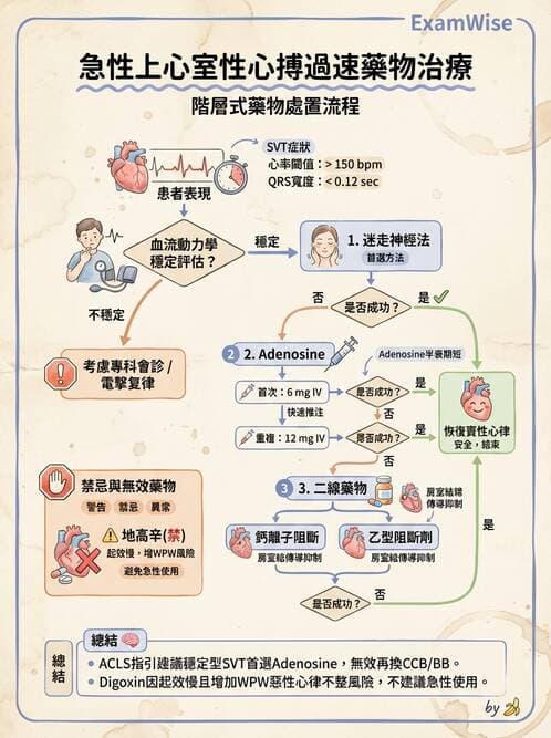 專師 - 心律不整與ECG判讀 - AI 圖文解析預覽