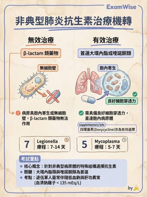 專師 - 肺炎與肺部感染 - AI 圖文解析預覽