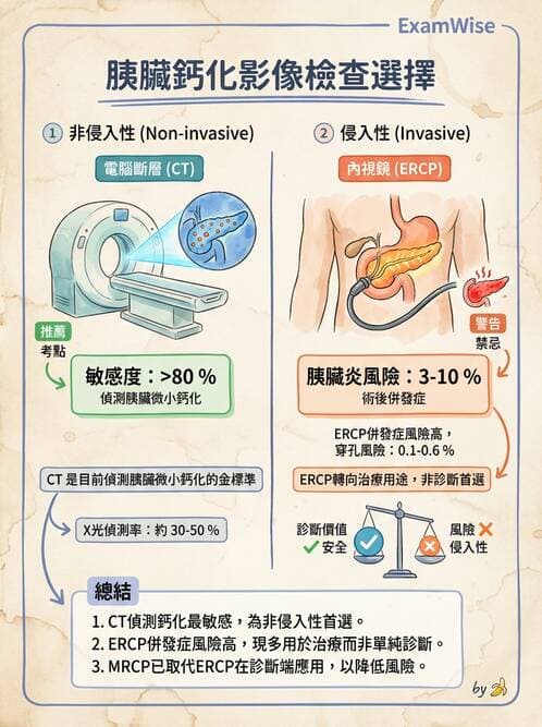 專師 - 膽道與胰臟 - AI 圖文解析預覽
