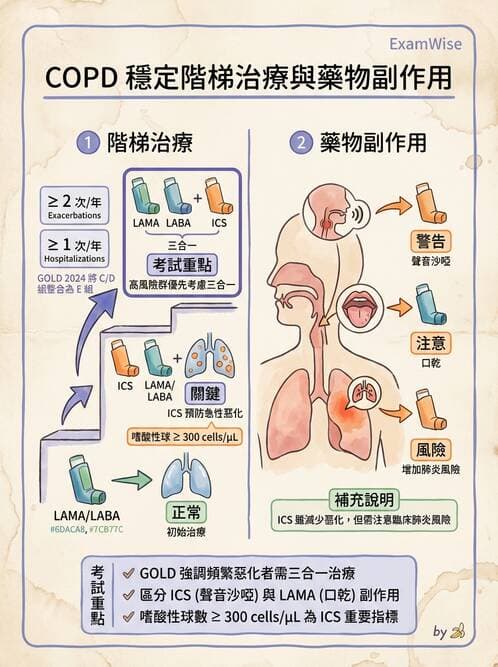 專師 - 阻塞性肺病 - AI 圖文解析預覽