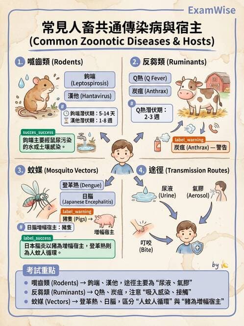 專師 - 敗血症與發燒通論 - AI 圖文解析預覽