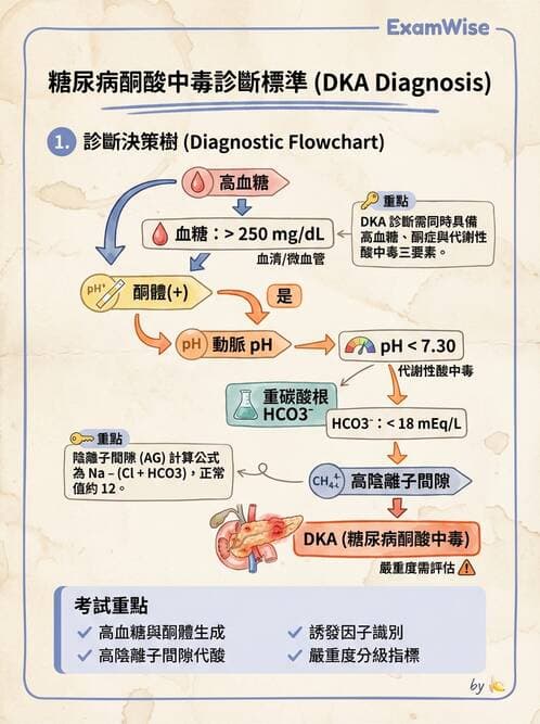 專師 - 糖尿病急症 - AI 圖文解析預覽