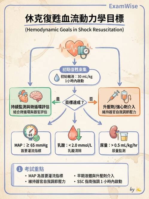 專師 - 休克分類與血行動力學 - AI 圖文解析預覽