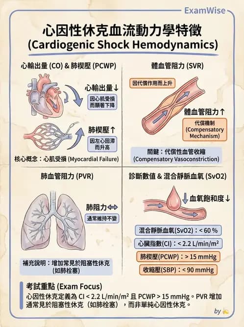 專師 - 高血壓與藥物治療 - AI 圖文解析預覽