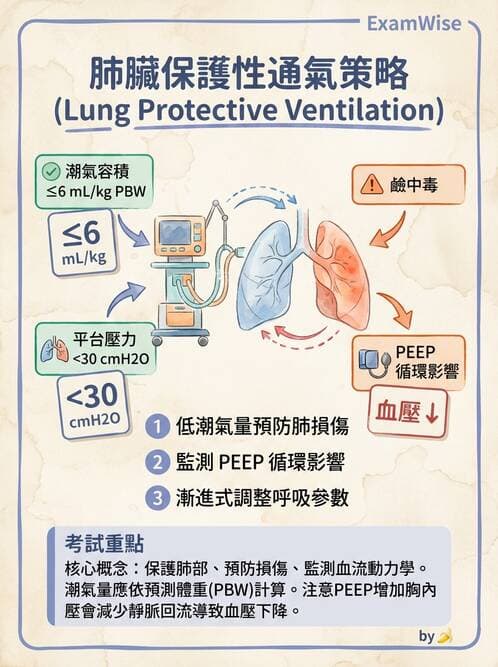 專師 - 呼吸治療與ABG - AI 圖文解析預覽