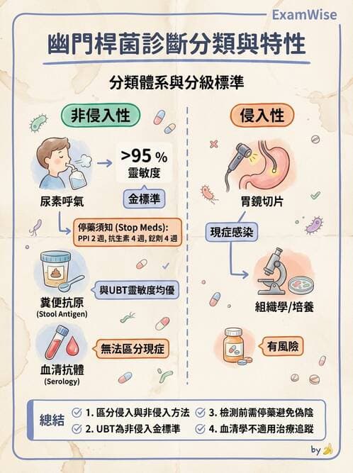 專師 - 上消化道 - AI 圖文解析預覽