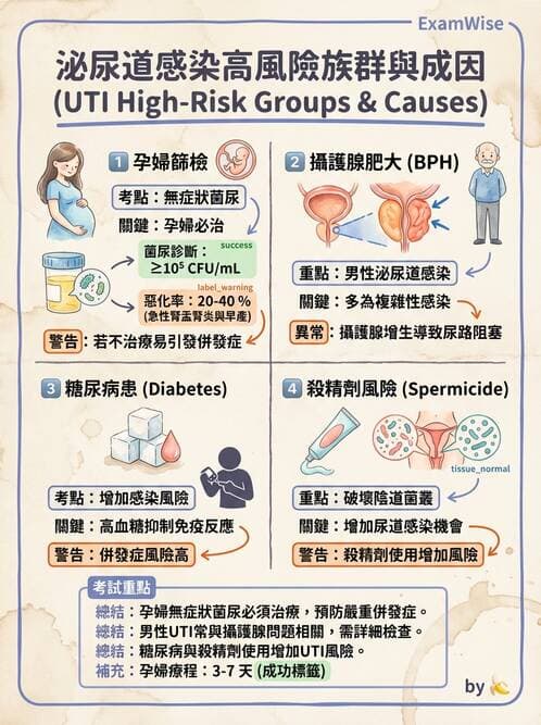 專師 - 泌尿道感染 - AI 圖文解析預覽