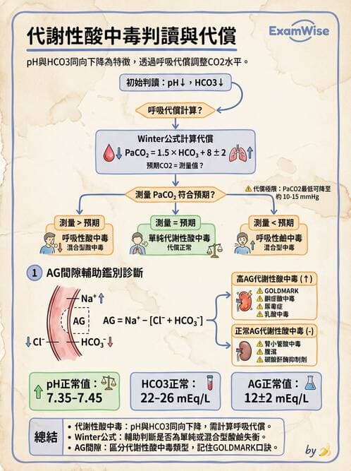 專師 - 酸鹼平衡 - AI 圖文解析預覽