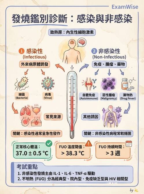 專師 - 風濕免疫疾病 - AI 圖文解析預覽
