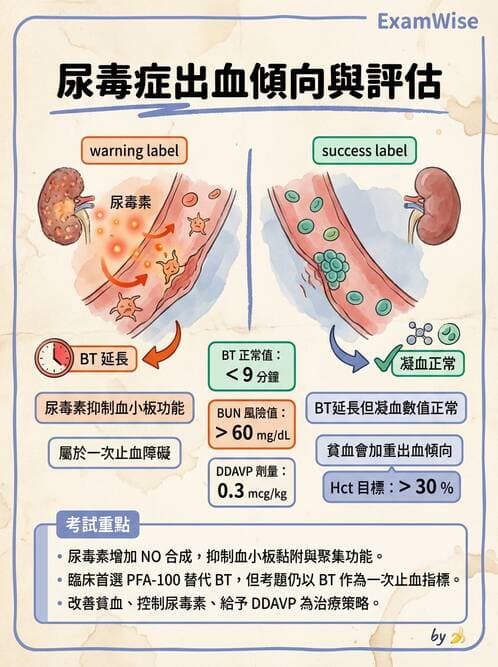 專師 - 慢性腎臟病與併發症 - AI 圖文解析預覽