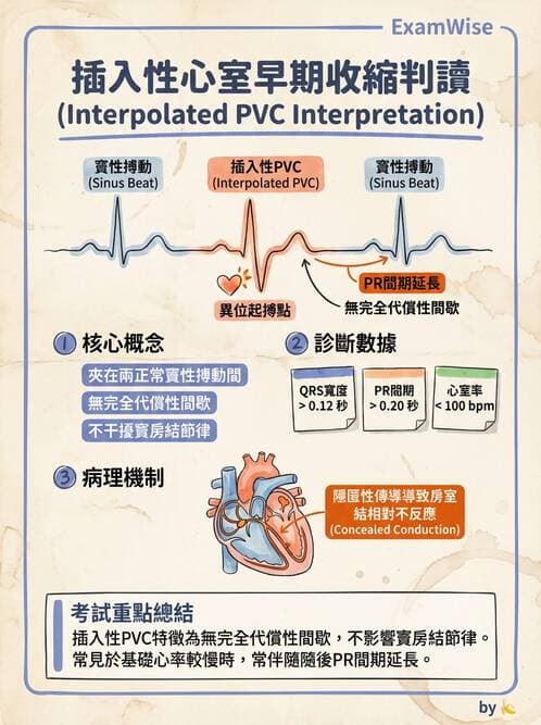 專師 - 心律不整與ECG判讀 - AI 圖文解析預覽