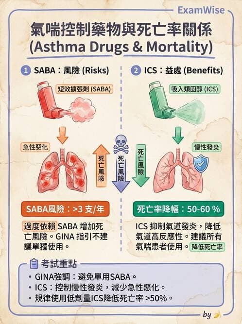 專師 - 阻塞性肺病 - AI 圖文解析預覽