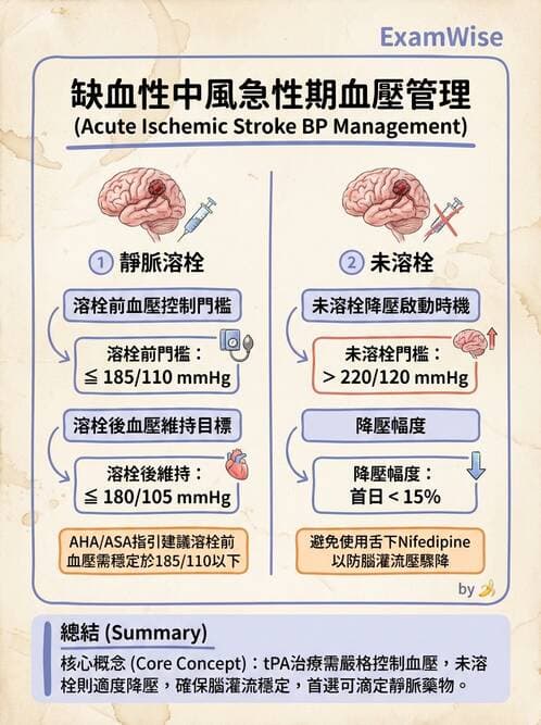 專師 - 腦血管疾病 - AI 圖文解析預覽