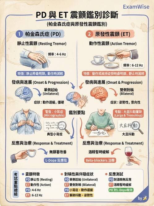 專師 - 神經退化與免疫疾病 - AI 圖文解析預覽