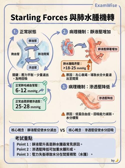 專師 - 心衰竭 - AI 圖文解析預覽