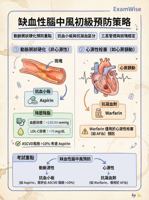 專師 - 腦血管疾病 - AI 圖文解析預覽