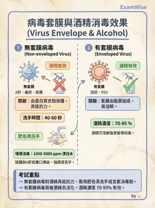 專師 - 院內感染與感控 - AI 圖文解析預覽
