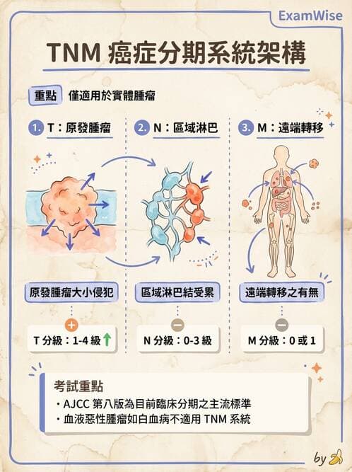 專師 - 腫瘤診斷與分期 - AI 圖文解析預覽