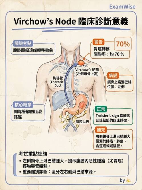 專師 - 上消化道 - AI 圖文解析預覽
