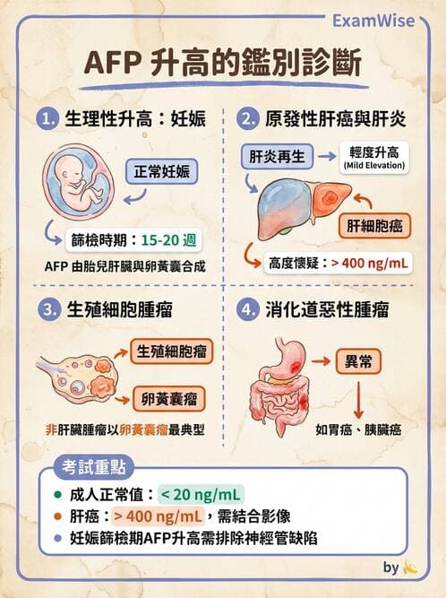 專師 - 腫瘤診斷與分期 - AI 圖文解析預覽
