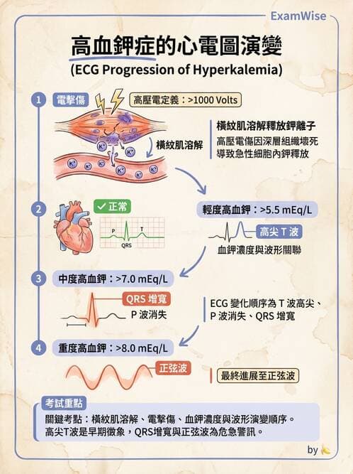 專師 - 燒傷創傷與出血控制 - AI 圖文解析預覽